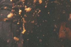Blizzard-4